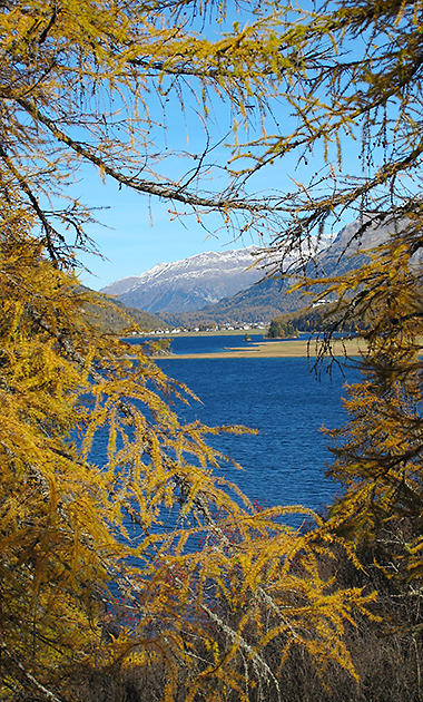 Engadin im Herbst